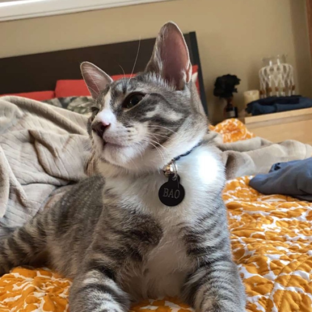 Meet your Posher, Aaliyah